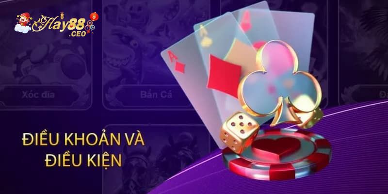 Giới thiệu tổng quan về điều khoản và điều kiện