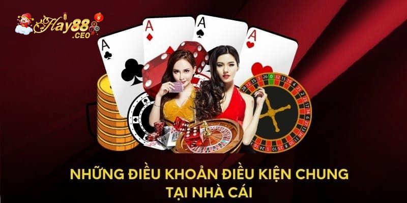 Những điều khoản và điều kiện chung tại Hay88