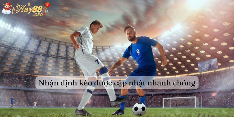 Cung cấp thông tin nhận định kèo bóng Hay88 nhanh chóng