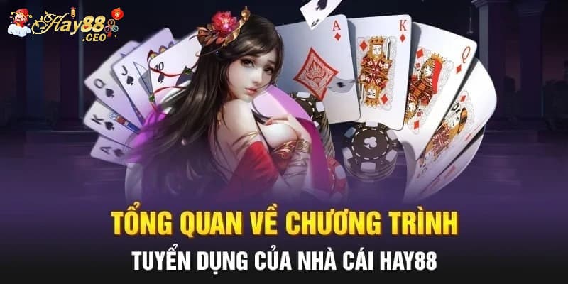 Tổng quan về chương trình tuyển dụng Hay88